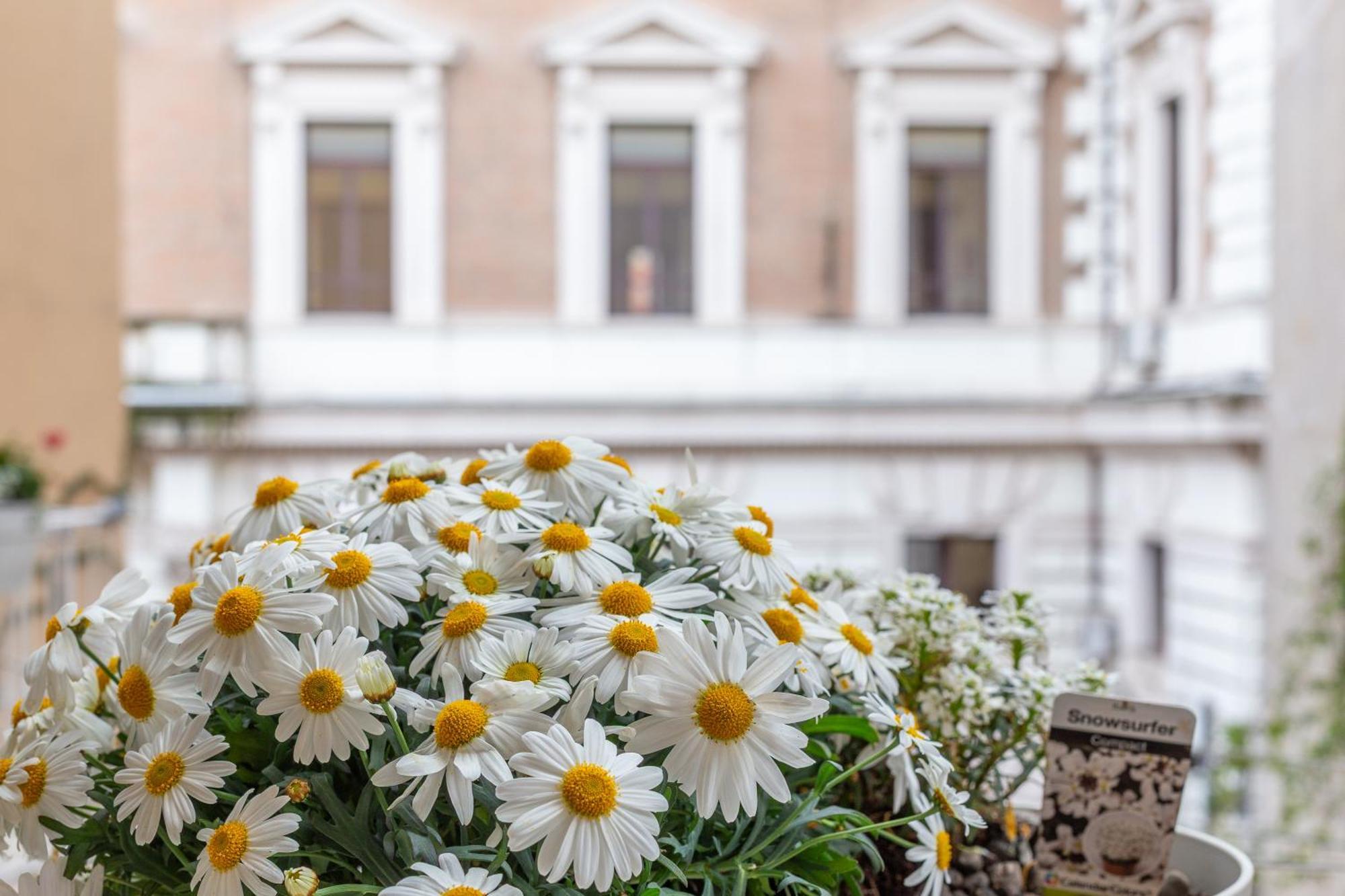 Appartement Iflat Stylish & Cozy In The Heart Of Monti